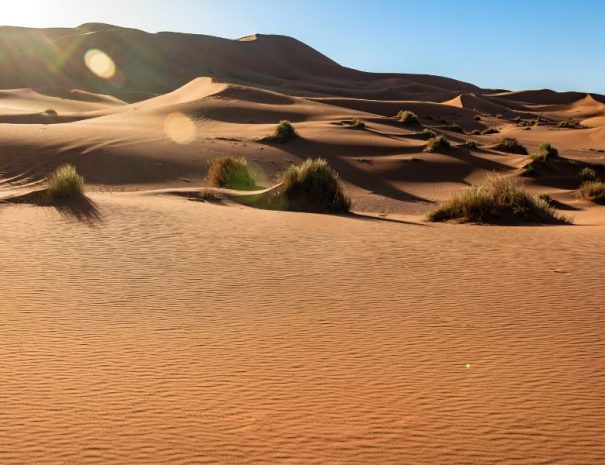 viaggi-sahara-oltredeserto-tour-esperienza tunisia